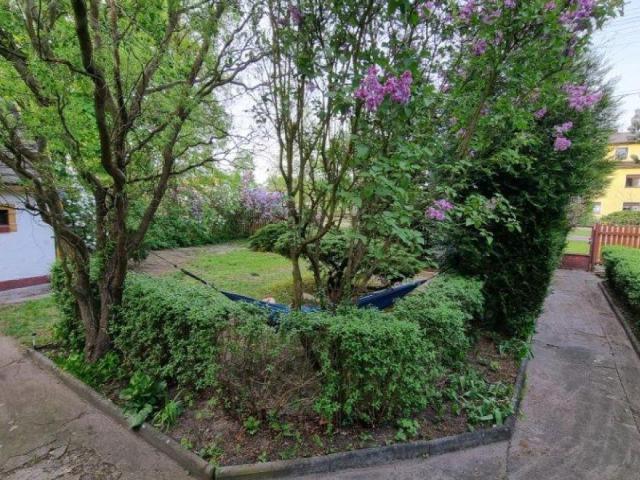 Dom do remontu na dużej działce - Suchy Bór